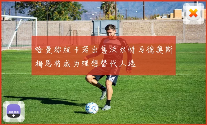 哈曼称纽卡若出售沃尔特马德奥斯梅恩将成为理想替代人选